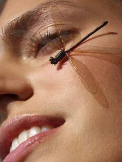 Other Wallpapers 0629